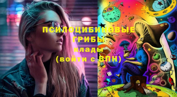 spice Алзамай