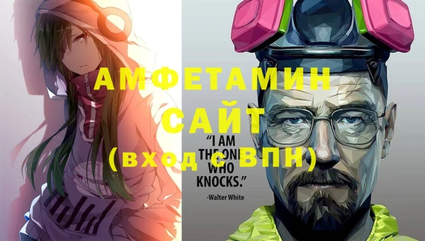 индика Медвежьегорск