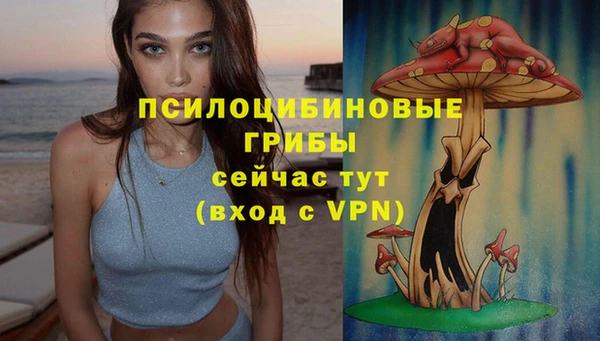 PSILOCYBIN Алексин