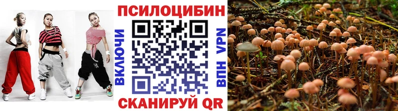 mega зеркало Ачхой-Мартан Галлюциногенные грибы ЛСД